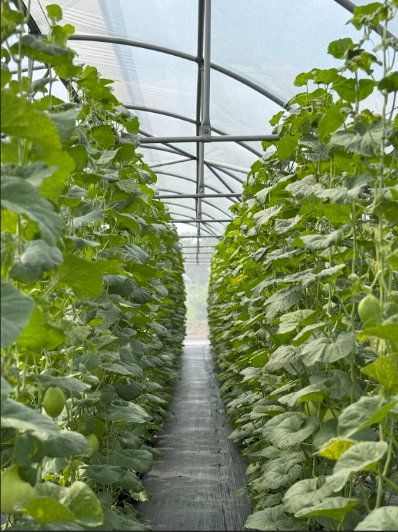 Screenshot 2025-11-05 222644